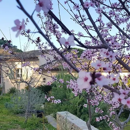 Apartmán Maison Les Marres St-tropez / Ramatuelle *