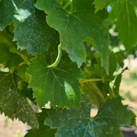 Maison Les Marres St-tropez / Ramatuelle Apartmán Saint Tropez