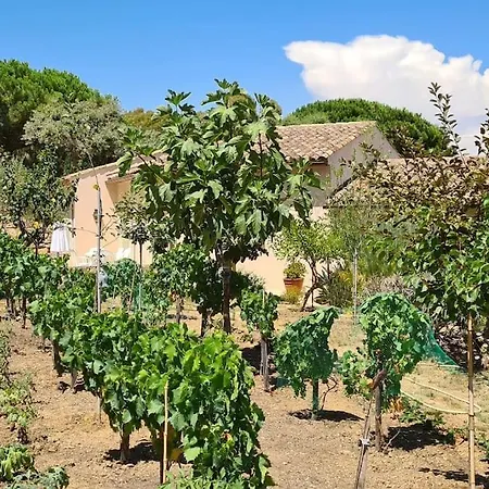 Maison Les Marres St-tropez / Ramatuelle * Saint Tropez