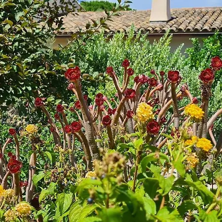 아파트 Maison Les Marres St-tropez / Ramatuelle *